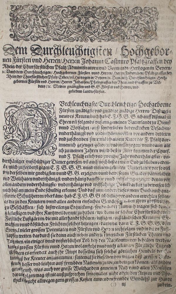 Große Abbildung Nr.4: 143-1792 (Tabernaemontanus,J.T.: (Botanik, Kräuterbücher)