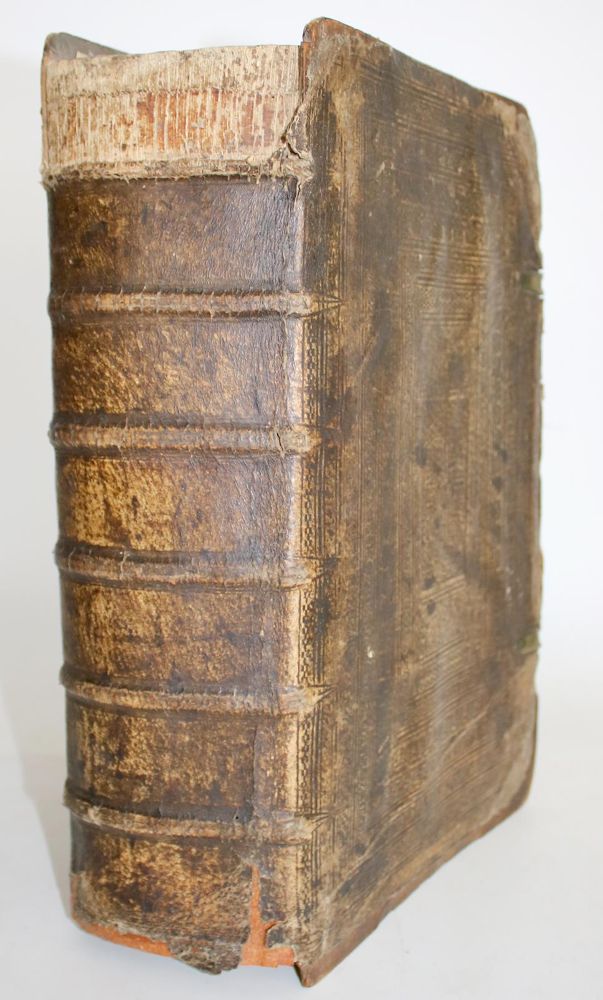 Große Abbildung Nr.5: 143-1792 (Tabernaemontanus,J.T.: (Botanik, Kräuterbücher)