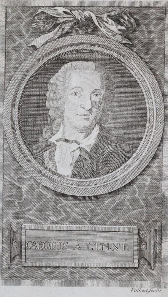 Große Abbildung Nr.2: 143-1797 Linné,C.v.: (Botanik)