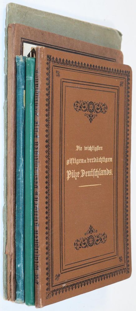 Große Abbildung Nr.6: 143-1805 Sammlung: (Botanik, Pilze)