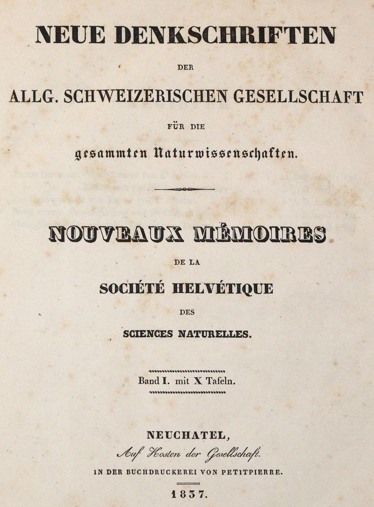 Große Abbildung Nr.1: 143-1811 Schinz,H.R.: (Botanik)