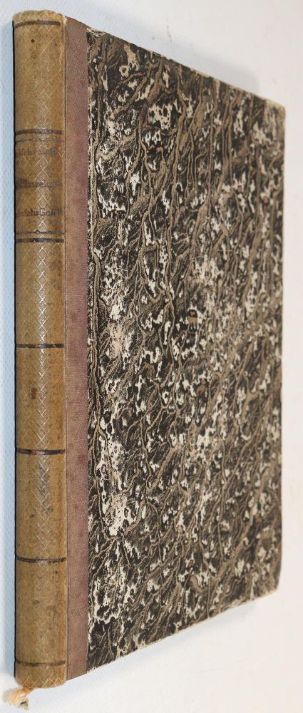 Große Abbildung Nr.3: 143-1811 Schinz,H.R.: (Botanik)