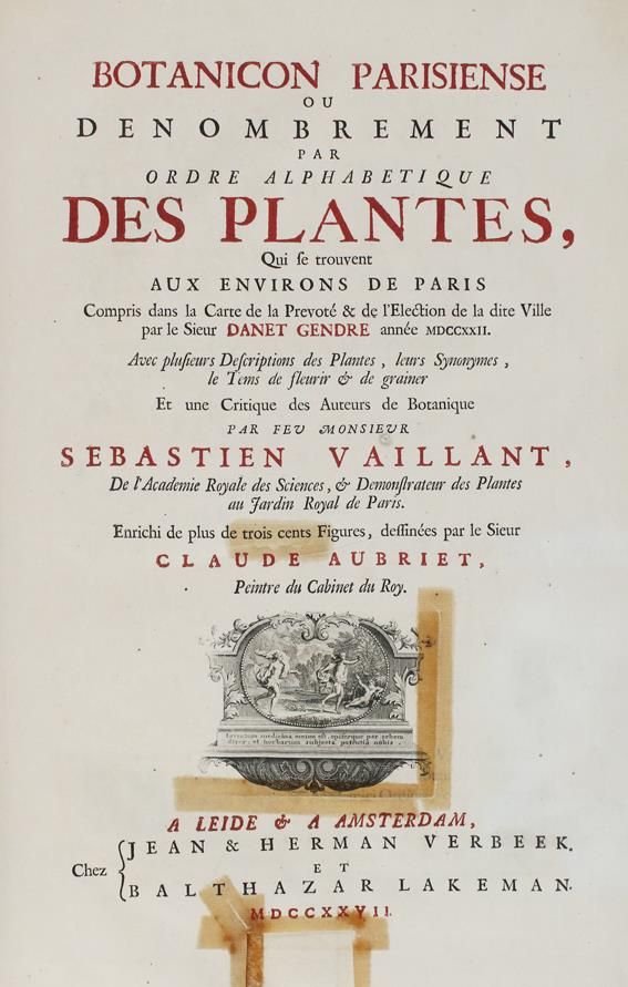 Große Abbildung Nr.1: 143-1815 Vaillant,S.: (Botanik)