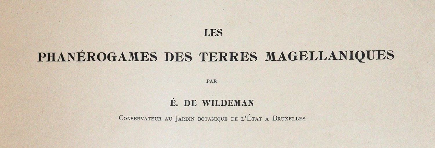 Große Abbildung Nr.1: 143-1816 Wildeman,E.de.: (Botanik)