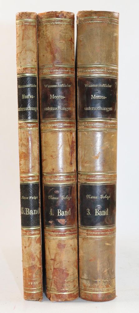 Große Abbildung Nr.7: 143-1817 Wissenschaftliche Meeresuntersuchungen.: (Botanik)