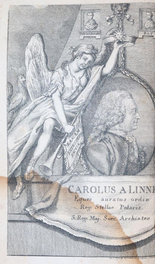 Große Abbildung Nr.4: 143-1818 (Zorn,J.).: (Botanik)