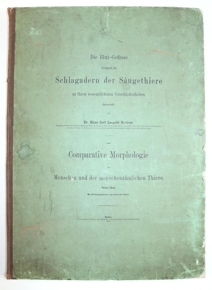 Große Abbildung Nr.6: 143-1826 Barkow,H.C.L.: (Medizin)