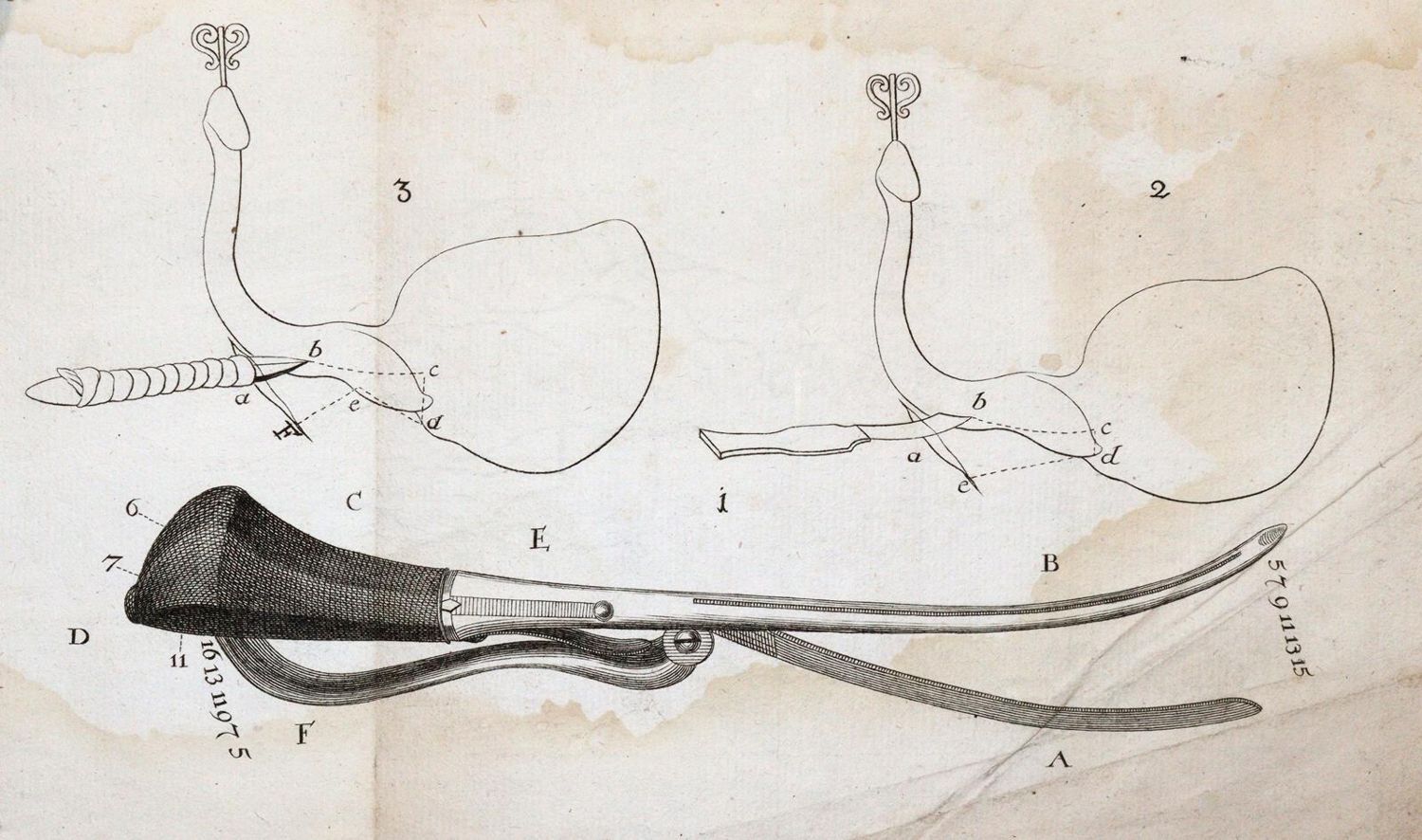 Große Abbildung Nr.2: 143-1831 Freher,C.J.: (Medizin)
