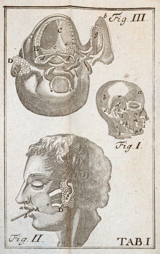 Große Abbildung Nr.3: 143-1843 Krüger,J.G.: (Medizin)