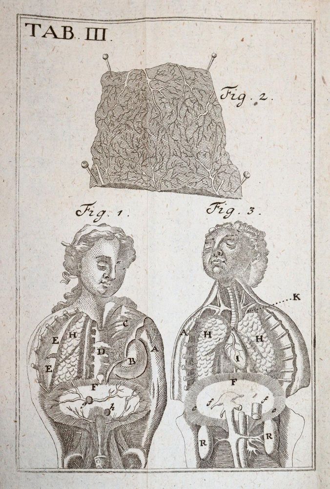 Große Abbildung Nr.4: 143-1843 Krüger,J.G.: (Medizin)