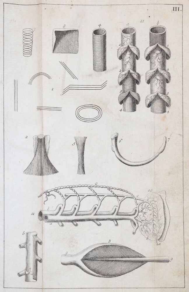Große Abbildung Nr.3: 143-1844 Kulmus,J.A.: (Medizin)
