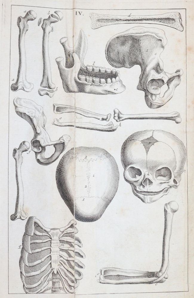 Große Abbildung Nr.4: 143-1844 Kulmus,J.A.: (Medizin)