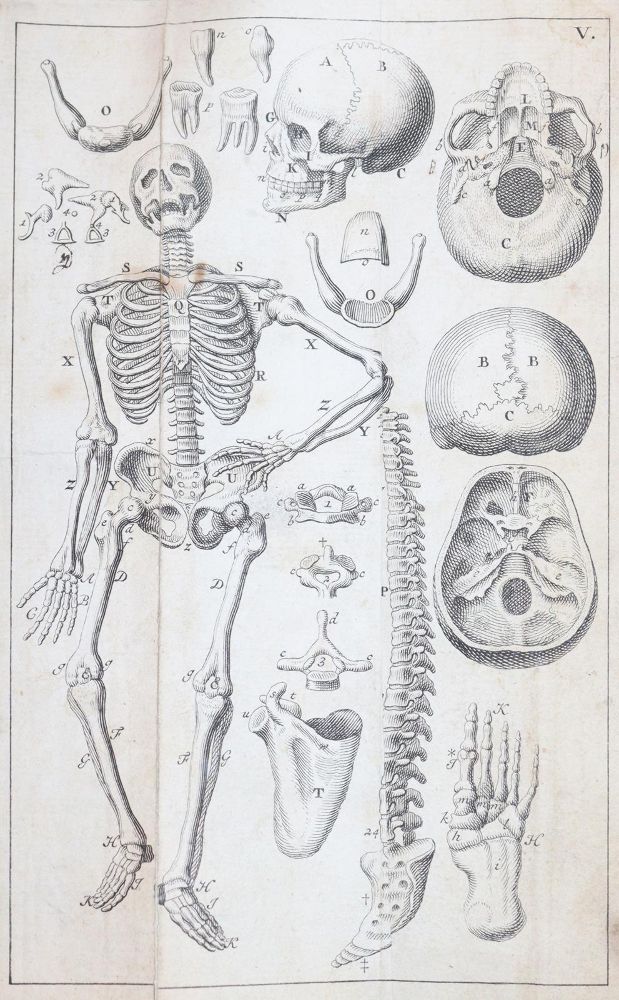 Große Abbildung Nr.5: 143-1844 Kulmus,J.A.: (Medizin)