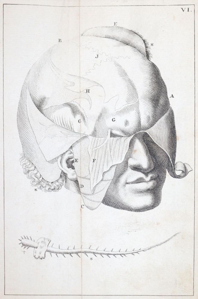 Große Abbildung Nr.6: 143-1844 Kulmus,J.A.: (Medizin)