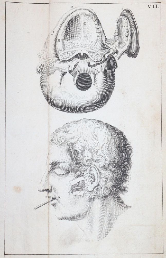 Große Abbildung Nr.7: 143-1844 Kulmus,J.A.: (Medizin)