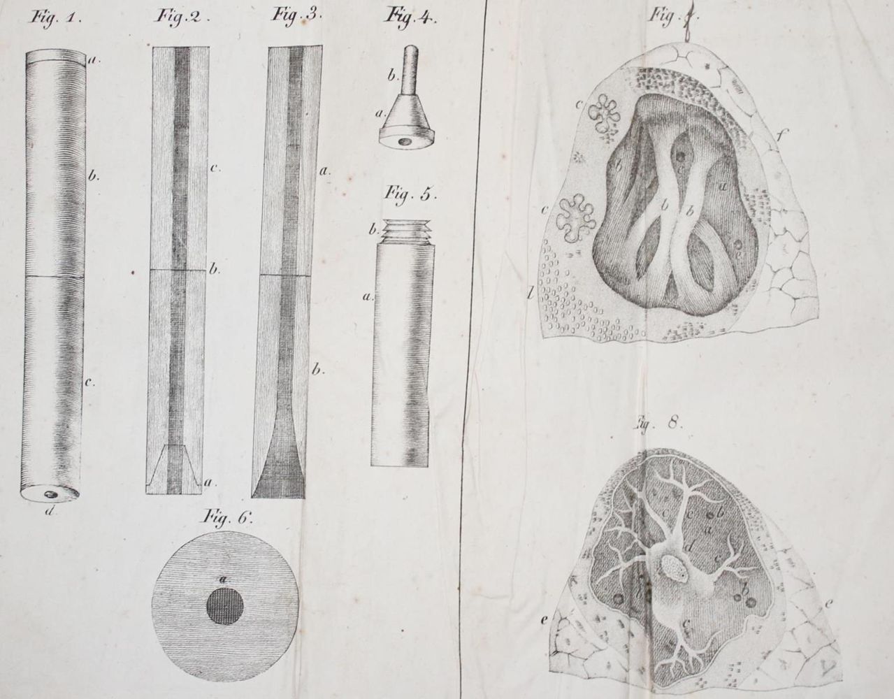 Große Abbildung Nr.2: 143-1845 Laennec,R.T.H.: (Medizin)