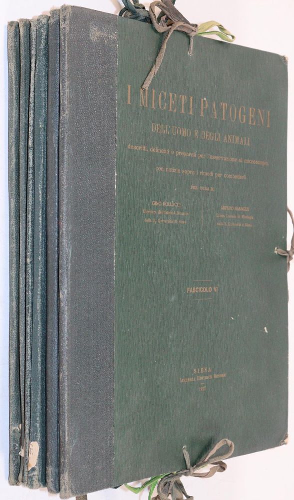 Große Abbildung Nr.5: 143-1851 Pollacci,G. u. A.Nannizzi.: (Medizin)