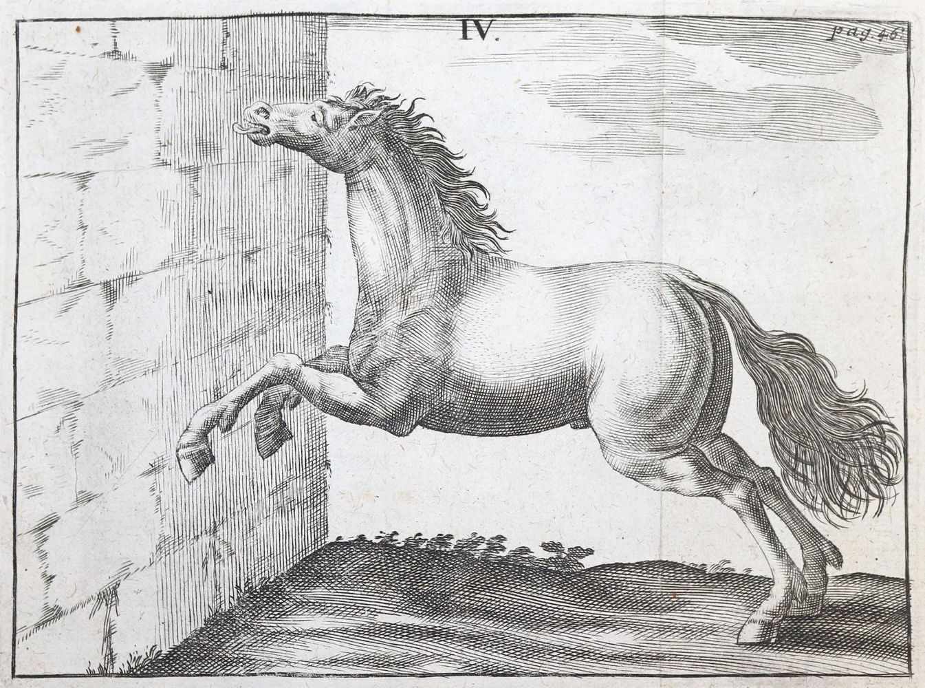Große Abbildung Nr.2: 143-1855 Winter,G.S.: (Medizin, Veterinärmedizin)