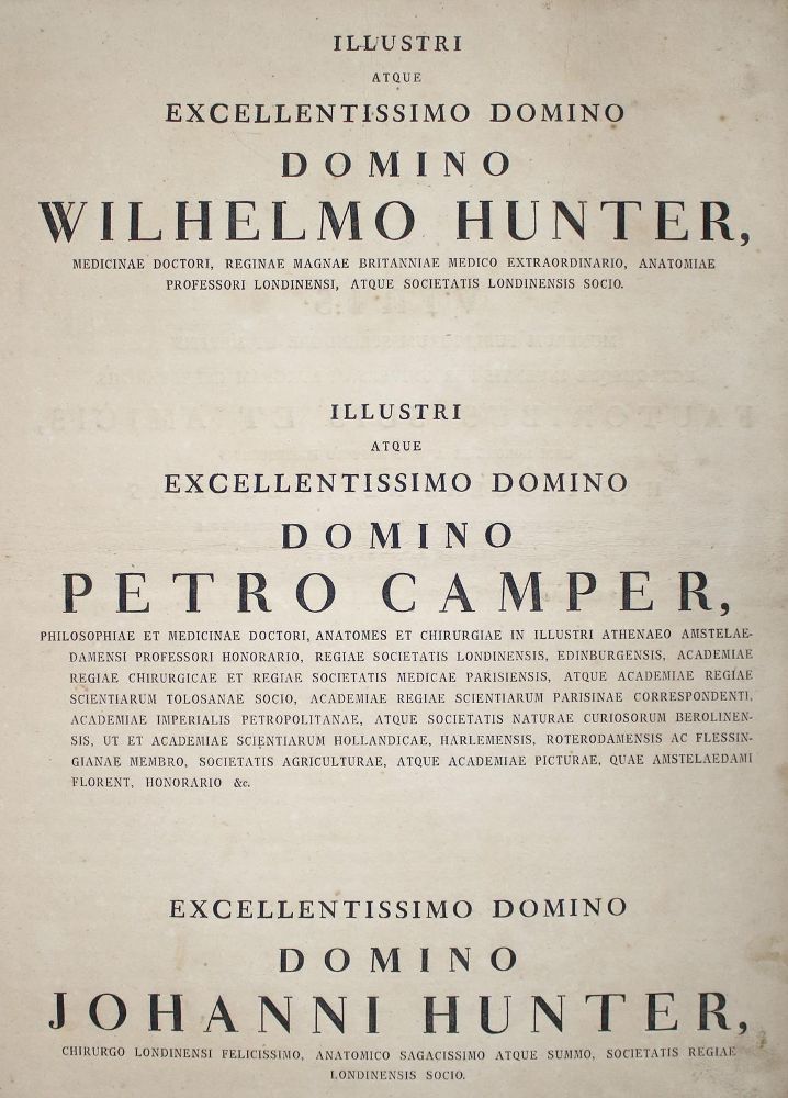 Große Abbildung Nr.3: 143-1856 Walter,J.G.: (Medizin)