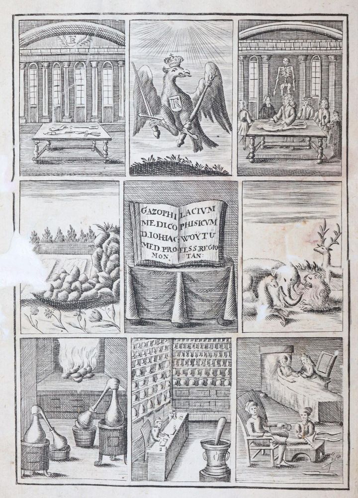 Große Abbildung Nr.1: 143-1858 Woyt,J.J.: (Medizin)