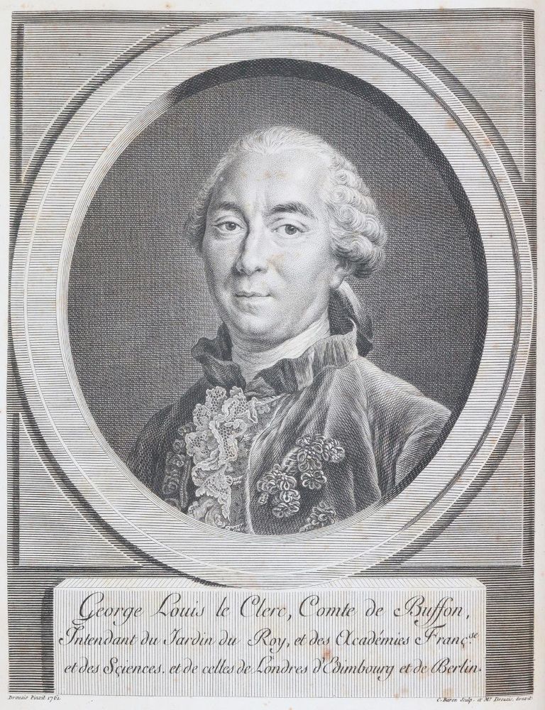 Große Abbildung Nr.2: 143-1864 (Buffon,G.L.L.).: (Zoologie)