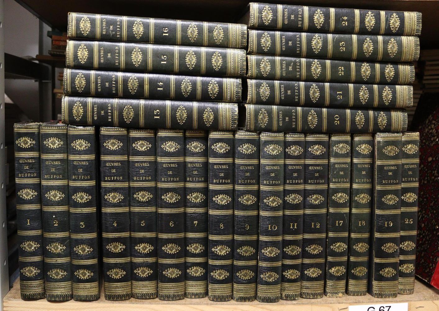 Große Abbildung Nr.2: 143-1866 Buffon,(G.L L.de).: (Zoologie)