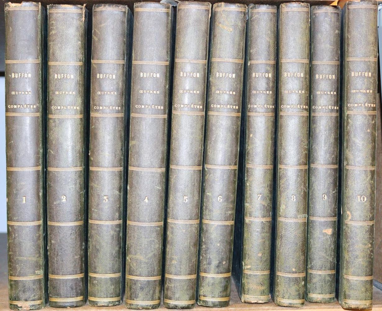 Große Abbildung Nr.2: 143-1867 Buffon,(G.L.L.de).: (Zoologie)