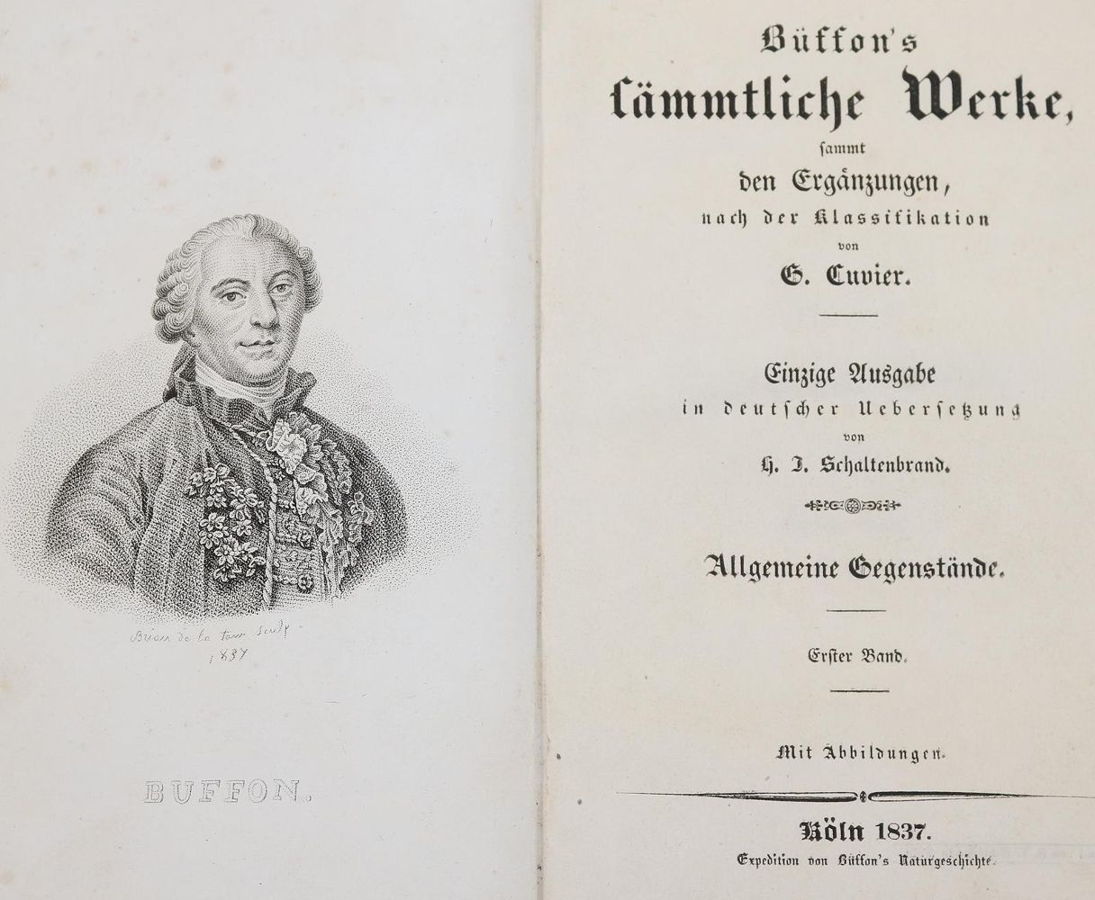 Große Abbildung Nr.1: 143-1868 Buffon,(G.L.L.de).: (Zoologie)