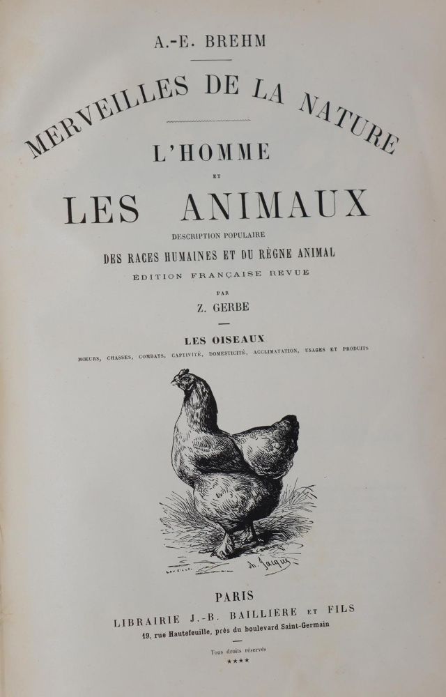 Große Abbildung Nr.30: 143-1868 Buffon,(G.L.L.de).: (Zoologie)