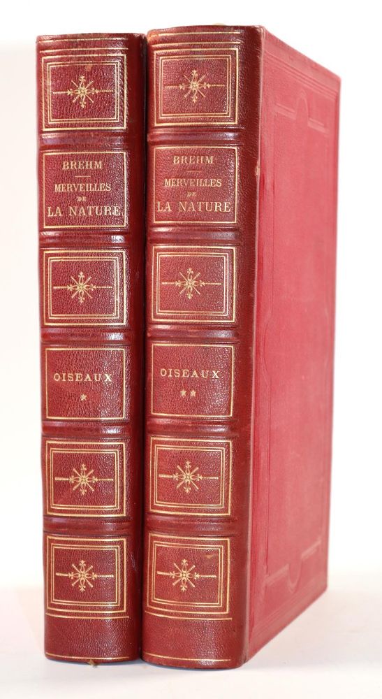 Große Abbildung Nr.31: 143-1868 Buffon,(G.L.L.de).: (Zoologie)