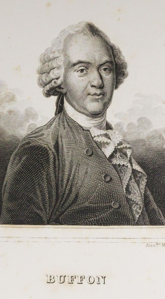 Große Abbildung Nr.2: 143-1869 Buffon,(G.L.L.)de; F.Cuvier u. B.G.E.Lacepede de la Ville.: (Zoologie)
