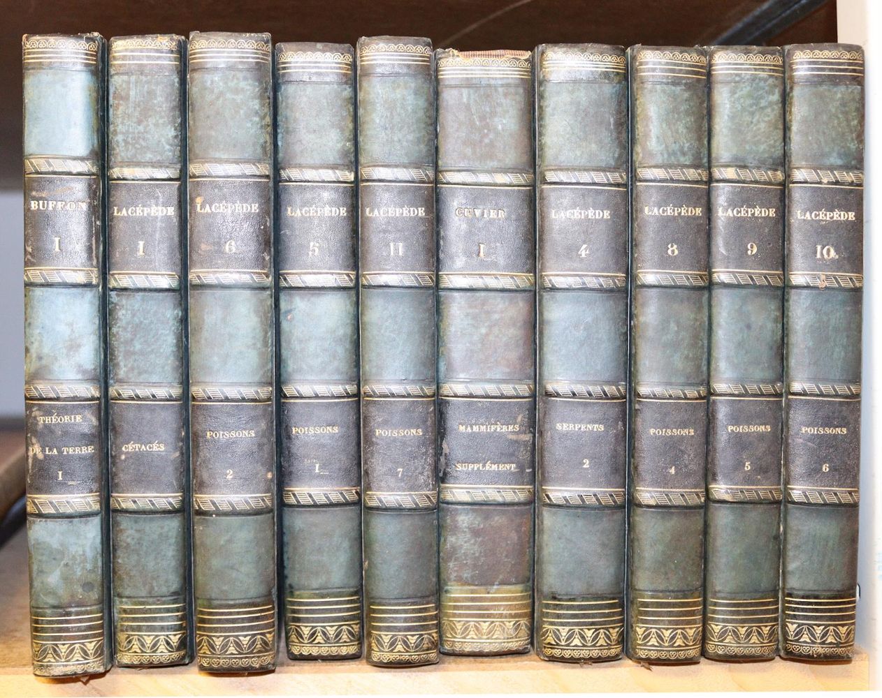 Große Abbildung Nr.4: 143-1869 Buffon,(G.L.L.)de; F.Cuvier u. B.G.E.Lacepede de la Ville.: (Zoologie)