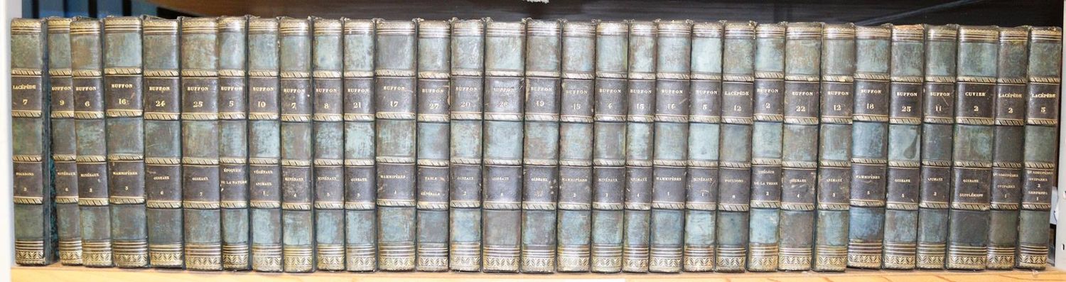 Große Abbildung Nr.5: 143-1869 Buffon,(G.L.L.)de; F.Cuvier u. B.G.E.Lacepede de la Ville.: (Zoologie)