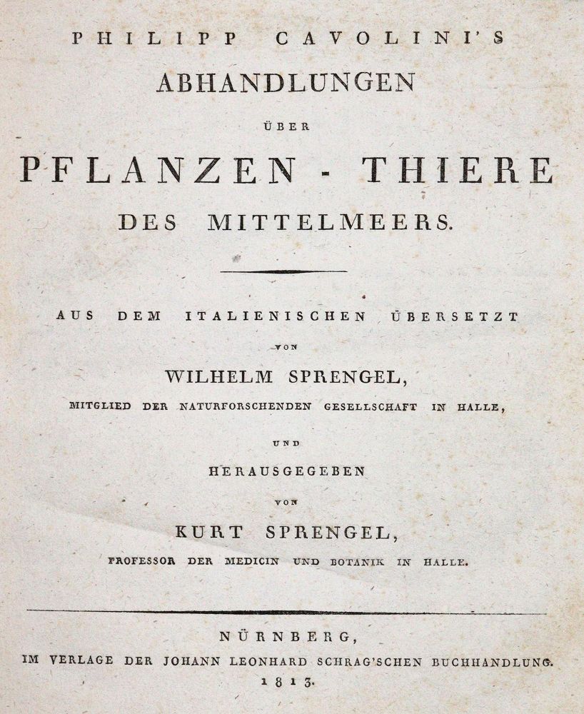 Große Abbildung Nr.1: 143-1870 Cavolini,F.: (Zoologie)
