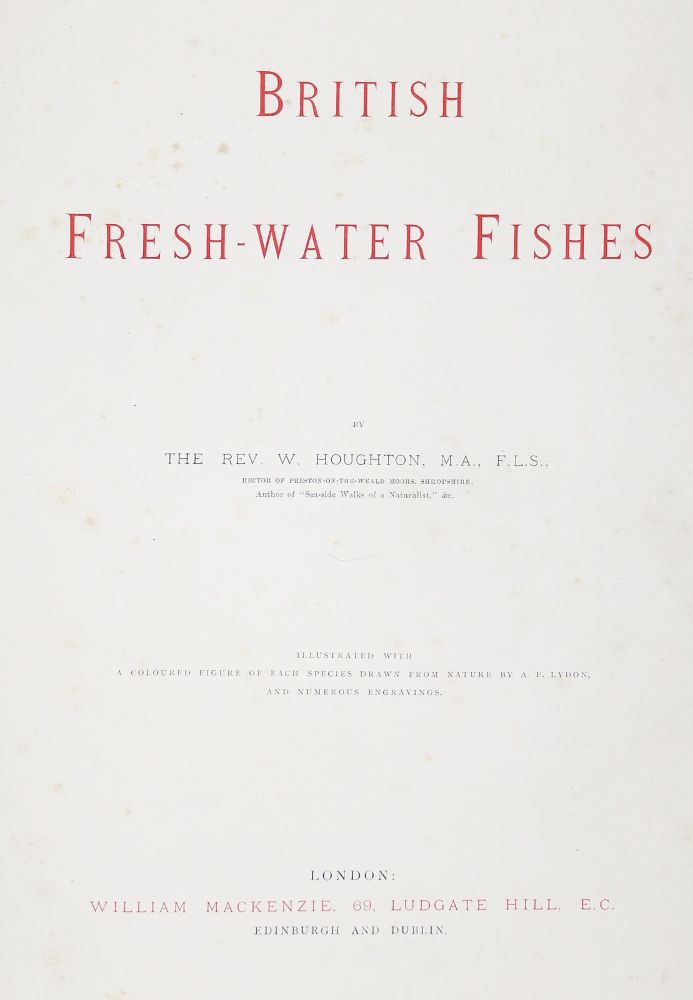 Große Abbildung Nr.4: 143-1874 Houghton,W.: (Zoologie, Fische)
