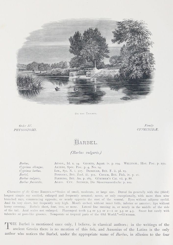 Große Abbildung Nr.5: 143-1874 Houghton,W.: (Zoologie, Fische)