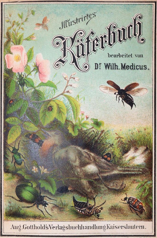 Große Abbildung Nr.1: 143-1877 Medicus,W.: (Zoologie, Insekten, Käfer)