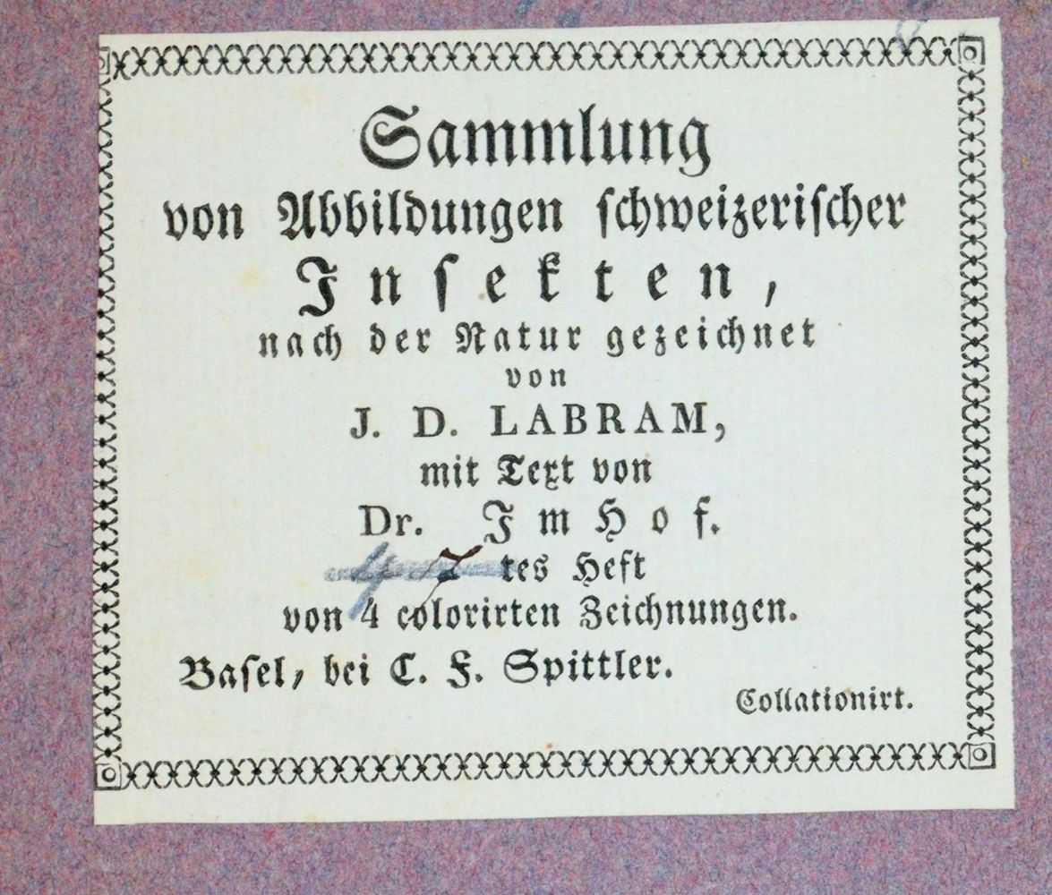 Große Abbildung Nr.1: 143-1880 Labram,J.D.: (Zoologie, Insekten)