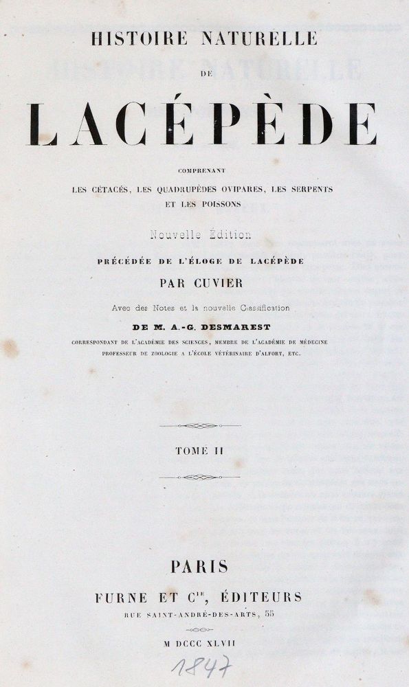 Große Abbildung Nr.1: 143-1882 Lacepede,(B.G.E.de).: (Zoologie)