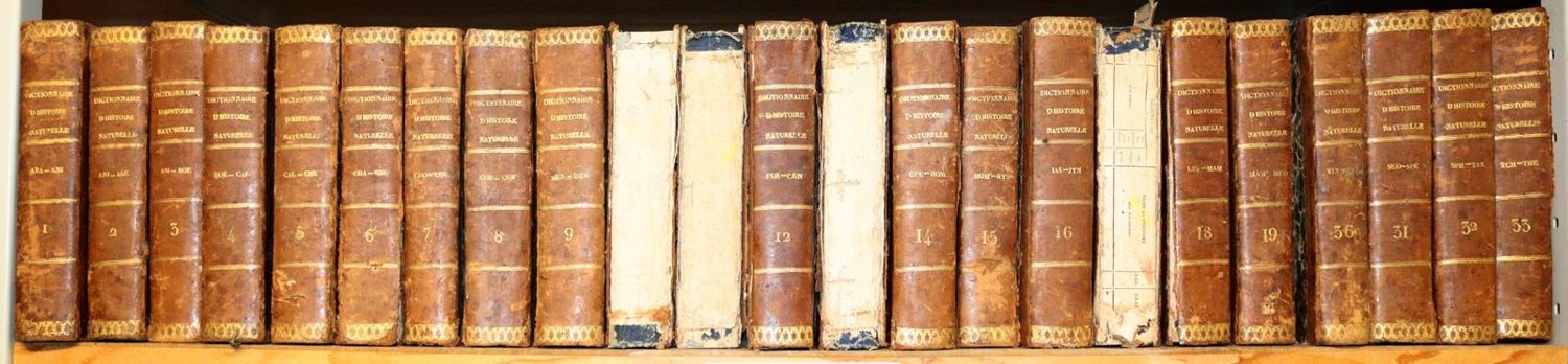 Große Abbildung Nr.2: 143-1886 Nouveau dictionnaire d'histoire naturelle,: (Zoologie)