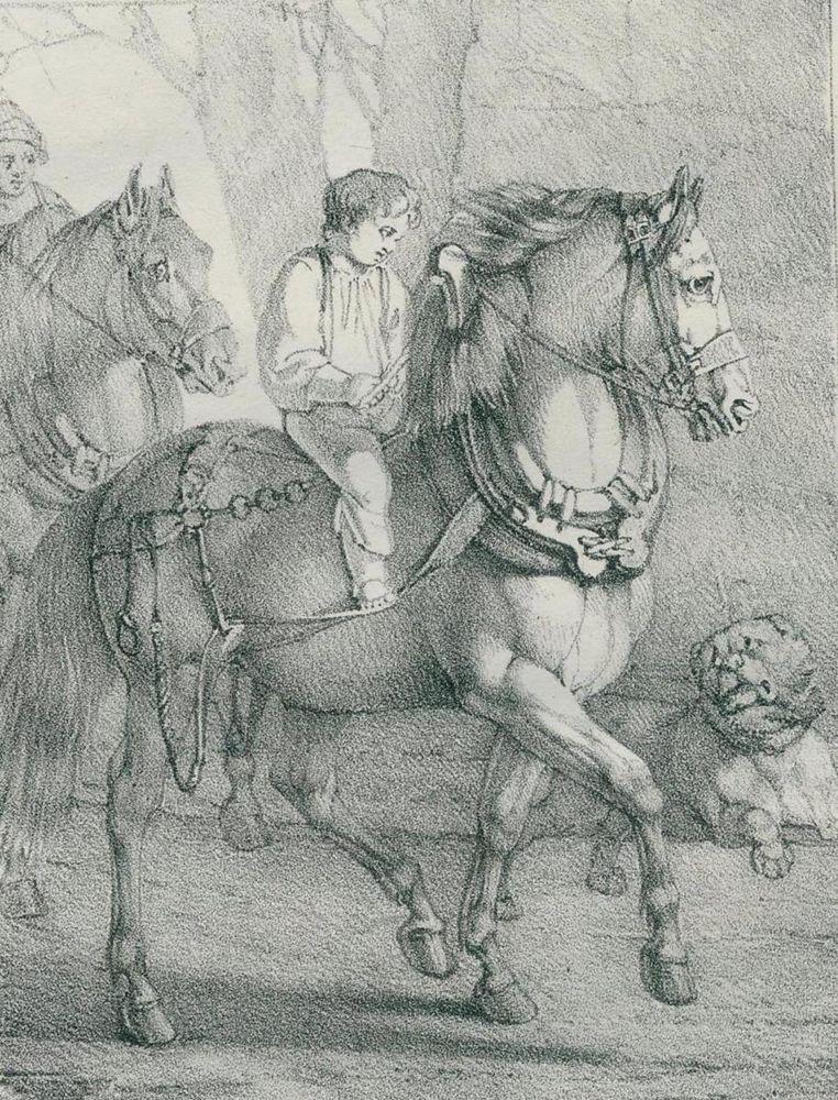 Große Abbildung Nr.2: 143-1890 Volmar, Joseph Simon: (Zoologie, Pferde)