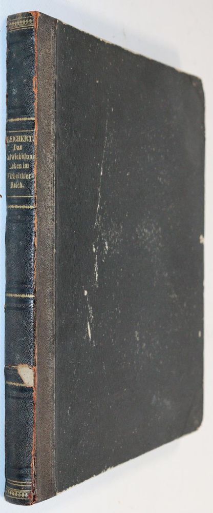 Große Abbildung Nr.5: 143-1892 Reichert,K.B.: (Zoologie)