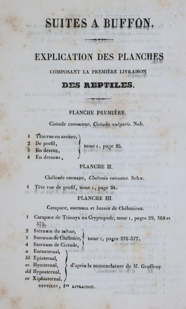 Große Abbildung Nr.4: 143-1893 Dumeril,A.M.C. u. G.Bibron.: (Zoologie, Reptilien)