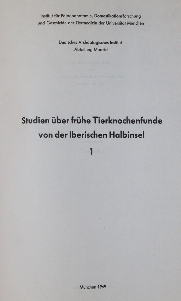 Große Abbildung Nr.1: 143-1897 Studien: (Zoologie)