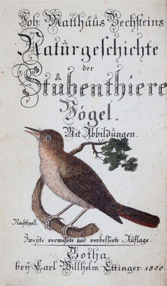 Große Abbildung Nr.2: 143-1898 Bechstein,J.M.: (Zoologie, Vögel)