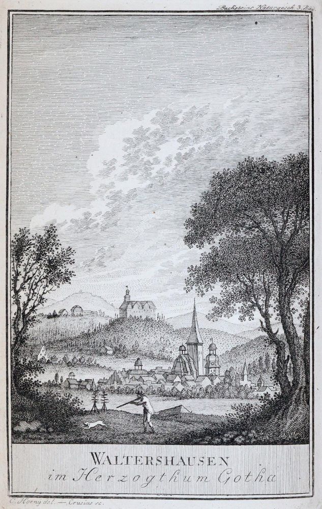 Große Abbildung Nr.2: 143-1899 Bechstein,J.M.: (Zoologie, Vögel)