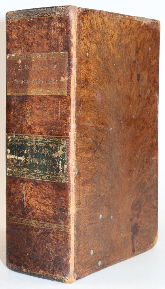 Große Abbildung Nr.6: 143-1899 Bechstein,J.M.: (Zoologie, Vögel)