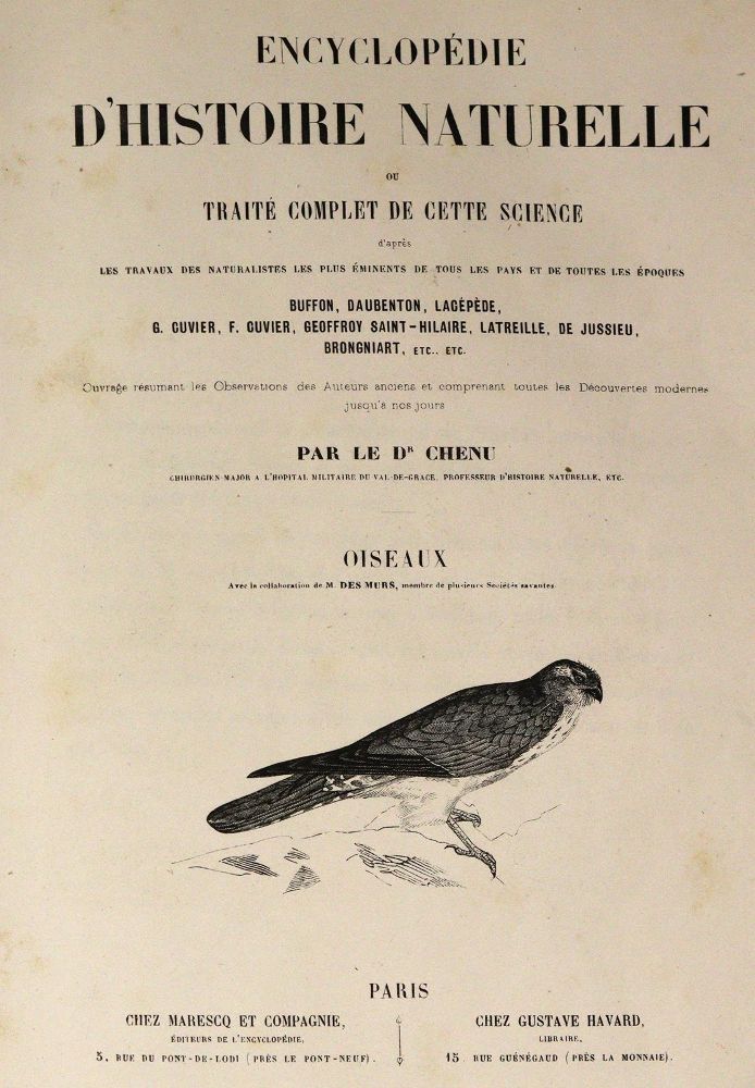 Große Abbildung Nr.1: 143-1903 Chenu,J.C.: (Zoologie, Vögel)