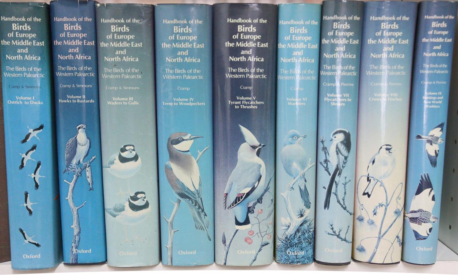 Große Abbildung Nr.5: 143-1905 Handbook: (Zoologie, Vögel)