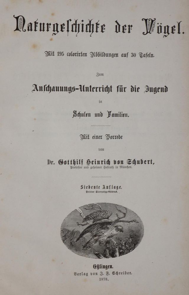 Große Abbildung Nr.1: 143-1907 Meerwarth,H. u. K.Soffel.: (Zoologie, Vögel)